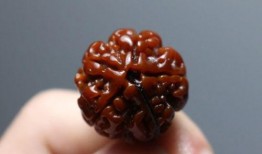 玉化最新爆料,最新爆料揭示娱乐圈惊人内幕