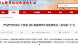 315爆料最新消息郑州,聚焦食品安全与消费陷阱