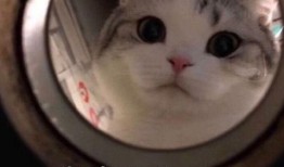 笨蛋最新爆料图片表情包