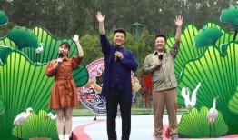 衡阳百姓爆料事件视频最新,真相揭开，民众关注焦点聚焦