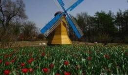 哈尔滨植物园爆料案件最新,惊现神秘命案，真相扑朔迷离！