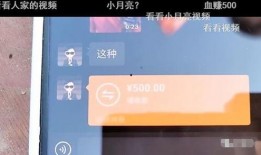 随心哥爆料视频大全最新,揭秘视频大全背后的精彩故事