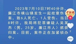 廉江知情人爆料案件最新,知情人士揭秘背后惊人真相